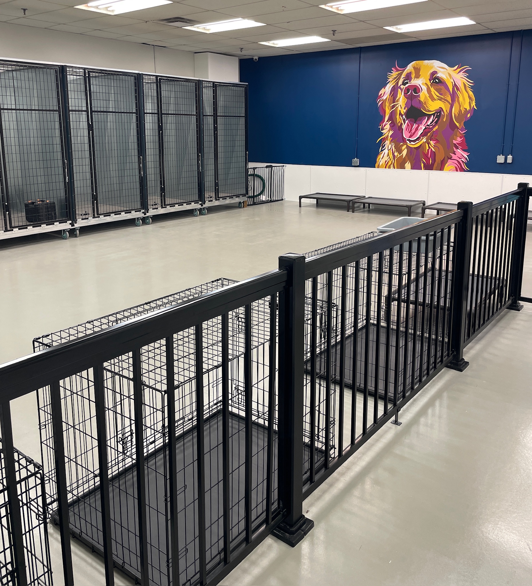 Dog daycare area with dog mural