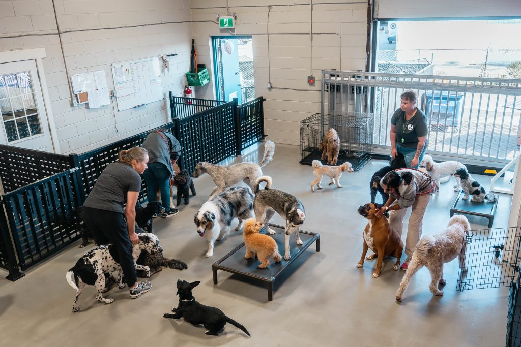 Our Facility - Happy Houndz Daycare & Boarding Inc.